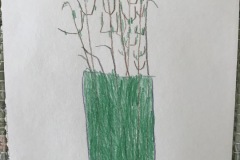 IMG-0649