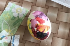IMG-0619