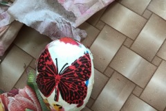 IMG-0620